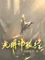 《光明神道经》小说封面