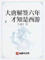 《大唐解签六年，才知是西游》小说封面