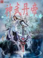 《神武丹帝》小说封面