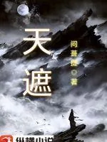 《天遮》小说封面