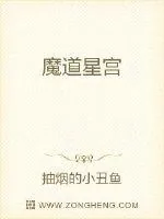 《魔道星宫》小说封面