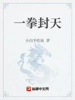 《一拳封天》小说封面