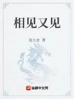 《相见又见》小说封面