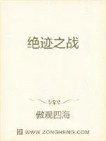 《绝迹之战》小说封面