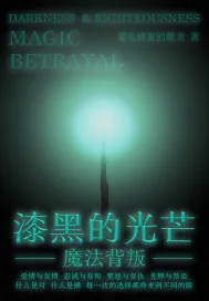 《漆黑的光芒：魔法背叛》小说封面