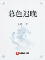 《暮色迟晚》小说封面