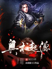 《奥术起源》小说封面
