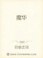 《魔华》小说封面