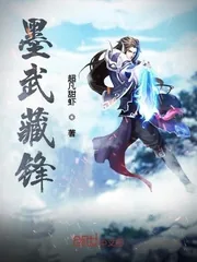 《墨武藏锋》小说封面