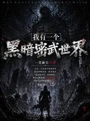 《我有一个黑暗密武世界》小说封面
