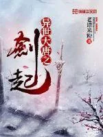 《异世大唐之剑起风云》小说封面