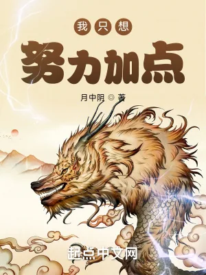《我只想努力加点》小说封面