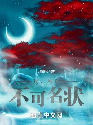 《我，神明，不可名状》小说封面