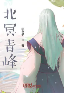 《北冥青峰》小说封面
