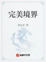 《境界完美论》小说封面