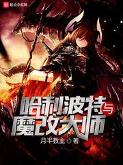 《哈利波特与魔改大师》小说封面