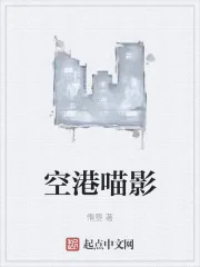 《空港喵影》小说封面