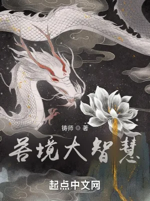 《苦境大智慧》小说封面