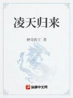 《凌天归来》小说封面