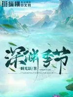 《深渊季节》小说封面