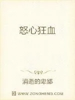 《怒血武神》小说封面
