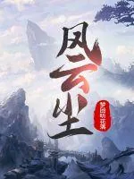 《风云尘》小说封面