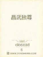《晶武独尊》小说封面