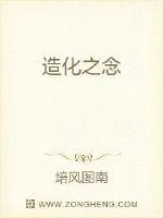 《造化之念》小说封面