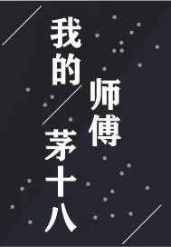 《我的师傅茅十八》小说封面