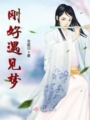 《刚好遇见梦》小说封面