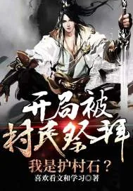《开局被村民祭拜，我是护村石？》小说封面