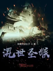 《混世圣猴》小说封面
