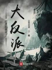 《化灵后我成了大反派》小说封面