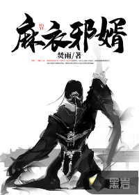 《麻衣邪婿》小说封面