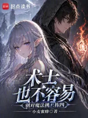 《术士也不容易，别对魔法挑三拣四》小说封面