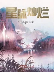 《星脉灿烂》小说封面