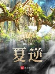 《夏逆》小说封面