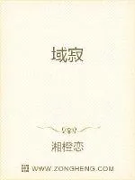 《域寂》小说封面