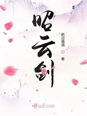 《昭云剑》小说封面