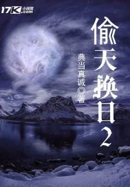《偷天换日2》小说封面