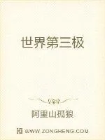 《世界第三极》小说封面