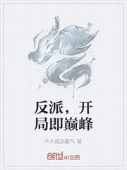 《反派，开局即巅峰》小说封面
