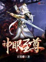 《神眼至尊》小说封面