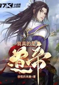 《我真的是道帝》小说封面