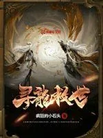 《寻龙救世》小说封面
