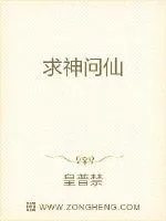 《求神问仙》小说封面