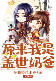 《原来我是盖世奶爸》小说封面