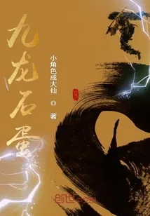 《九龙石蛋》小说封面