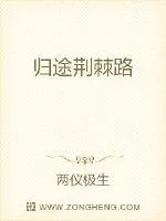 《归途荆棘路》小说封面