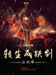 《转生成铁剑这档事》小说封面